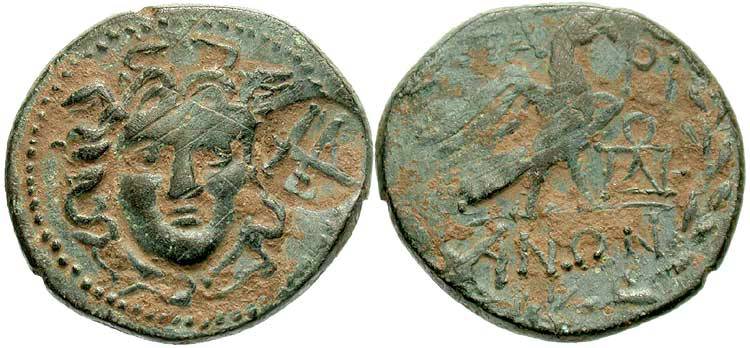 parion_BMC69.jpg