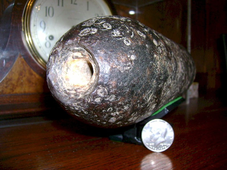 parrott3.jpg