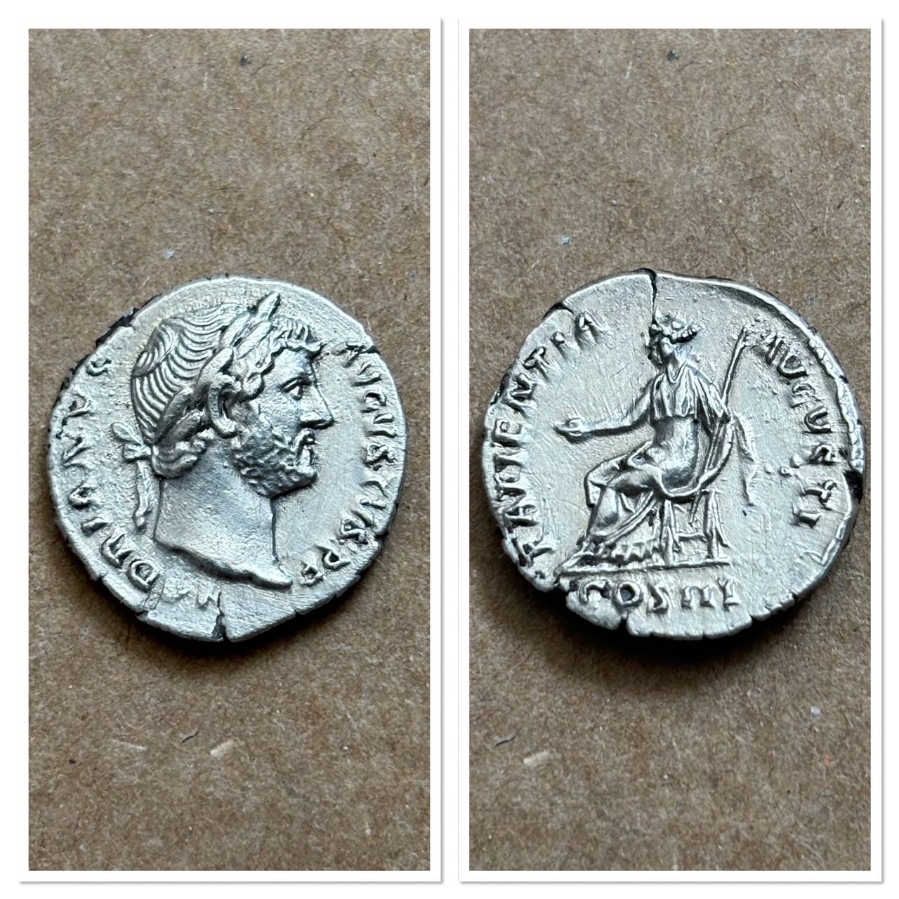 pATIENTIA.jpg