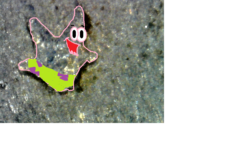 PATRICK.png