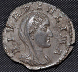 Paulina A.png