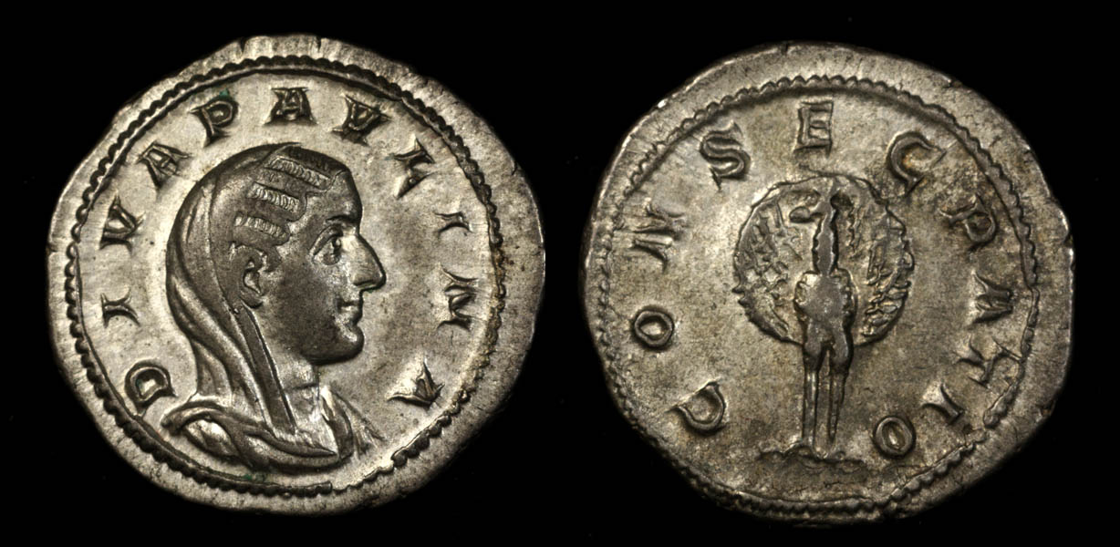 Paulina-den1b-sm.jpg