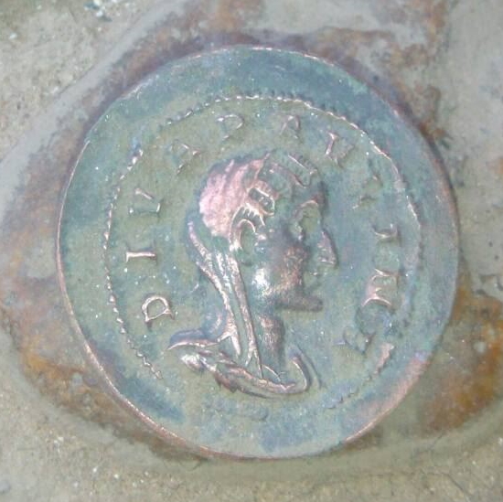 Paulina imprint.jpg