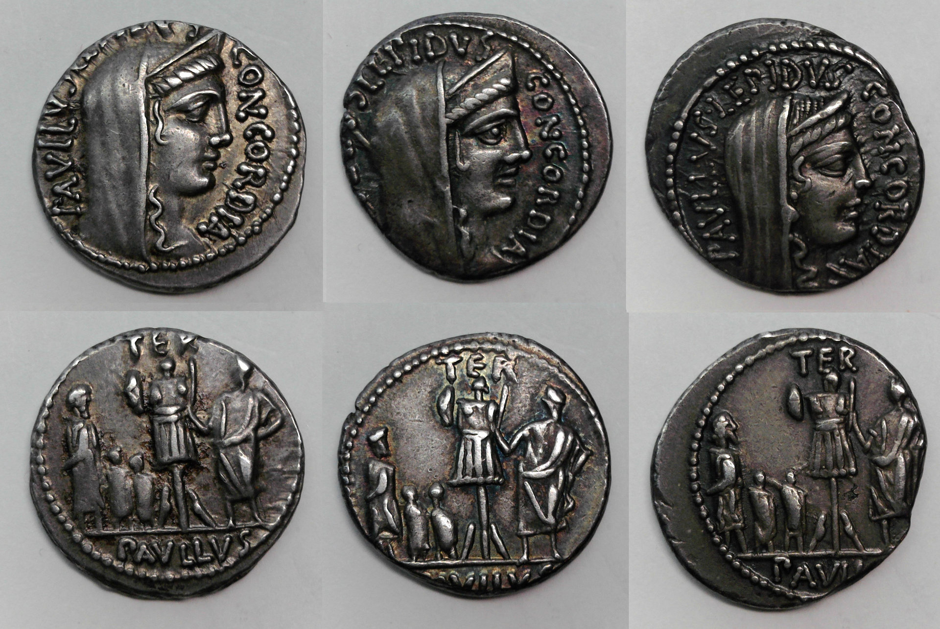Paullus Lepidus Study.jpg
