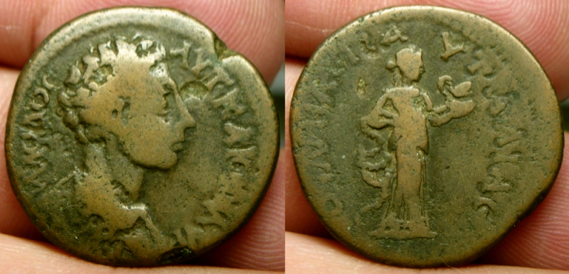 PautaliaMarcus.JPG