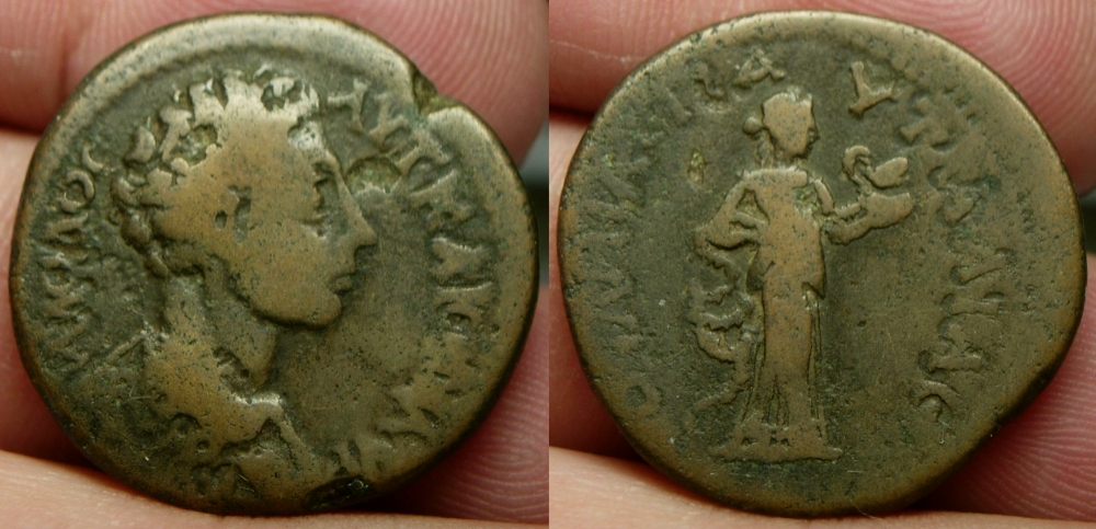 PautaliaMarcus.JPG