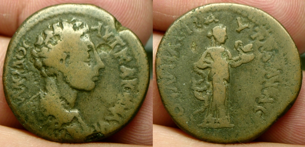 PautaliaMarcus.JPG