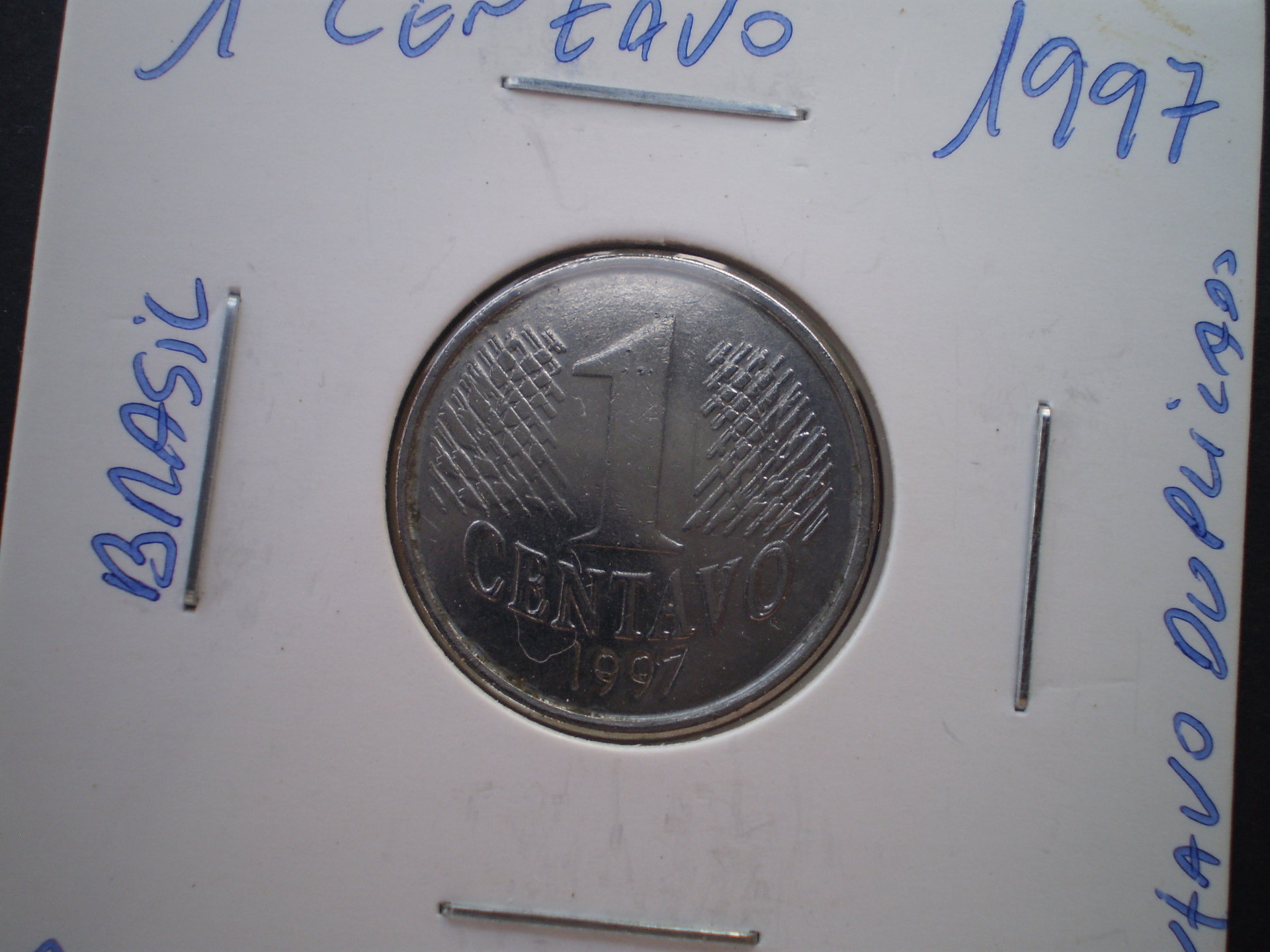 PB070001.JPG