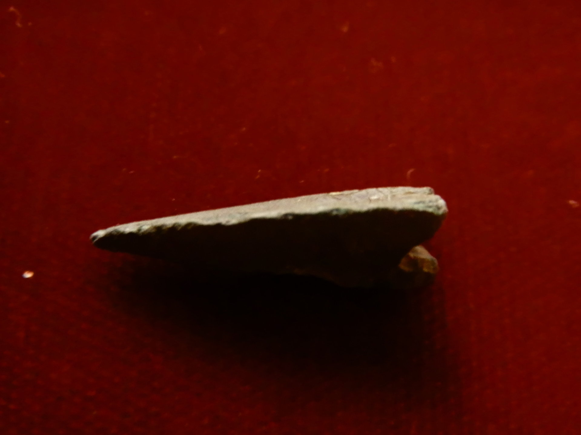 PB071038.jpg