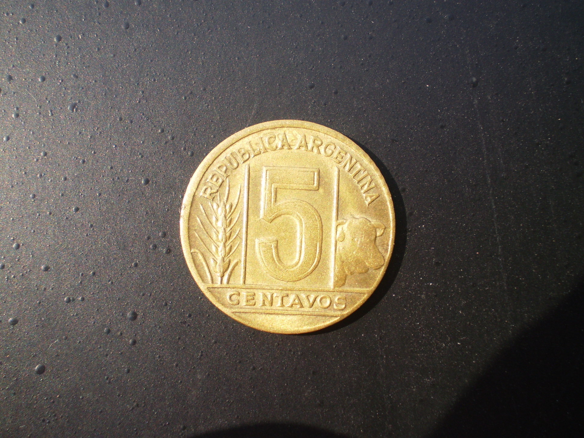 PB110001.JPG