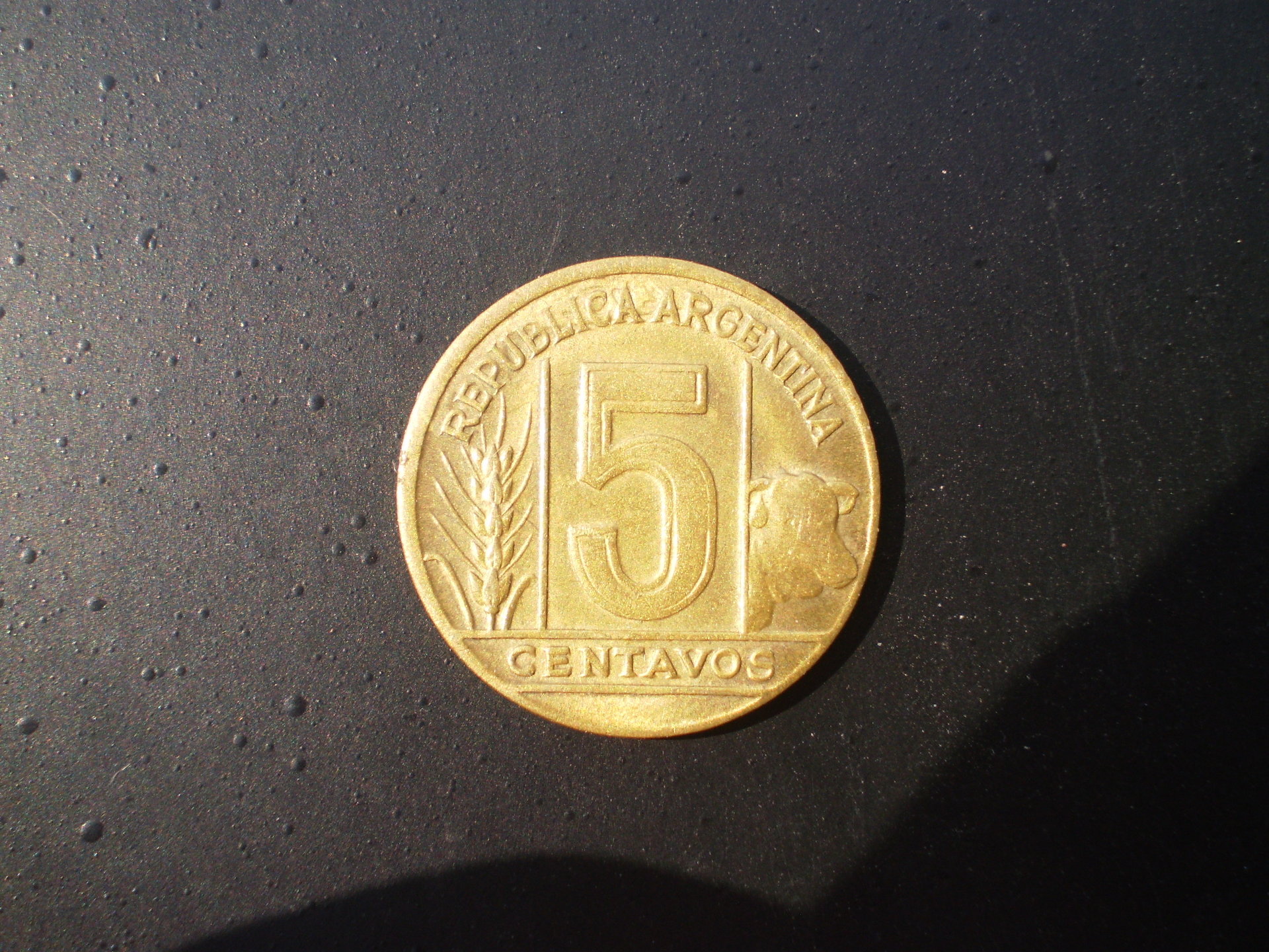 PB110002.JPG