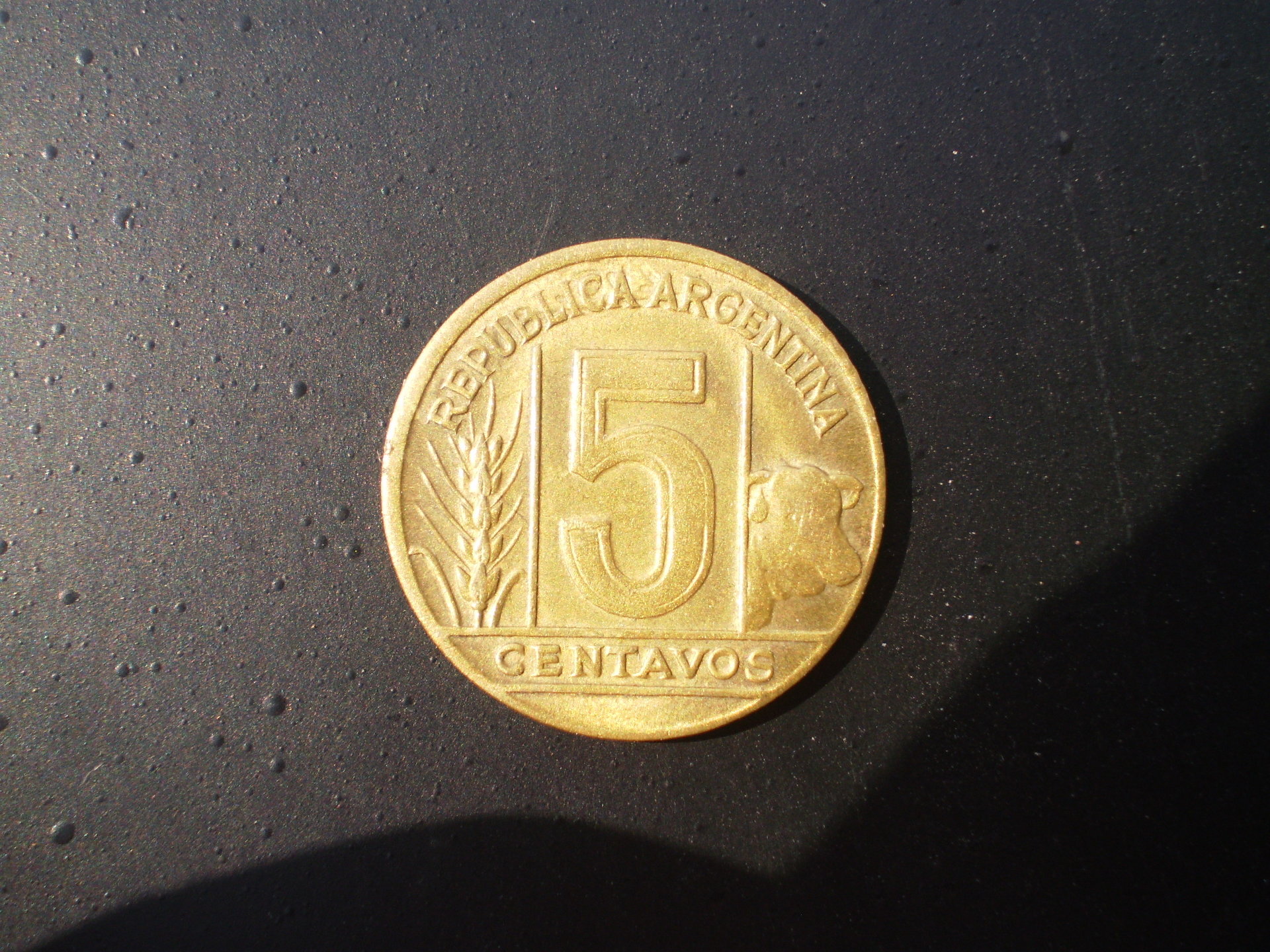 PB110003.JPG