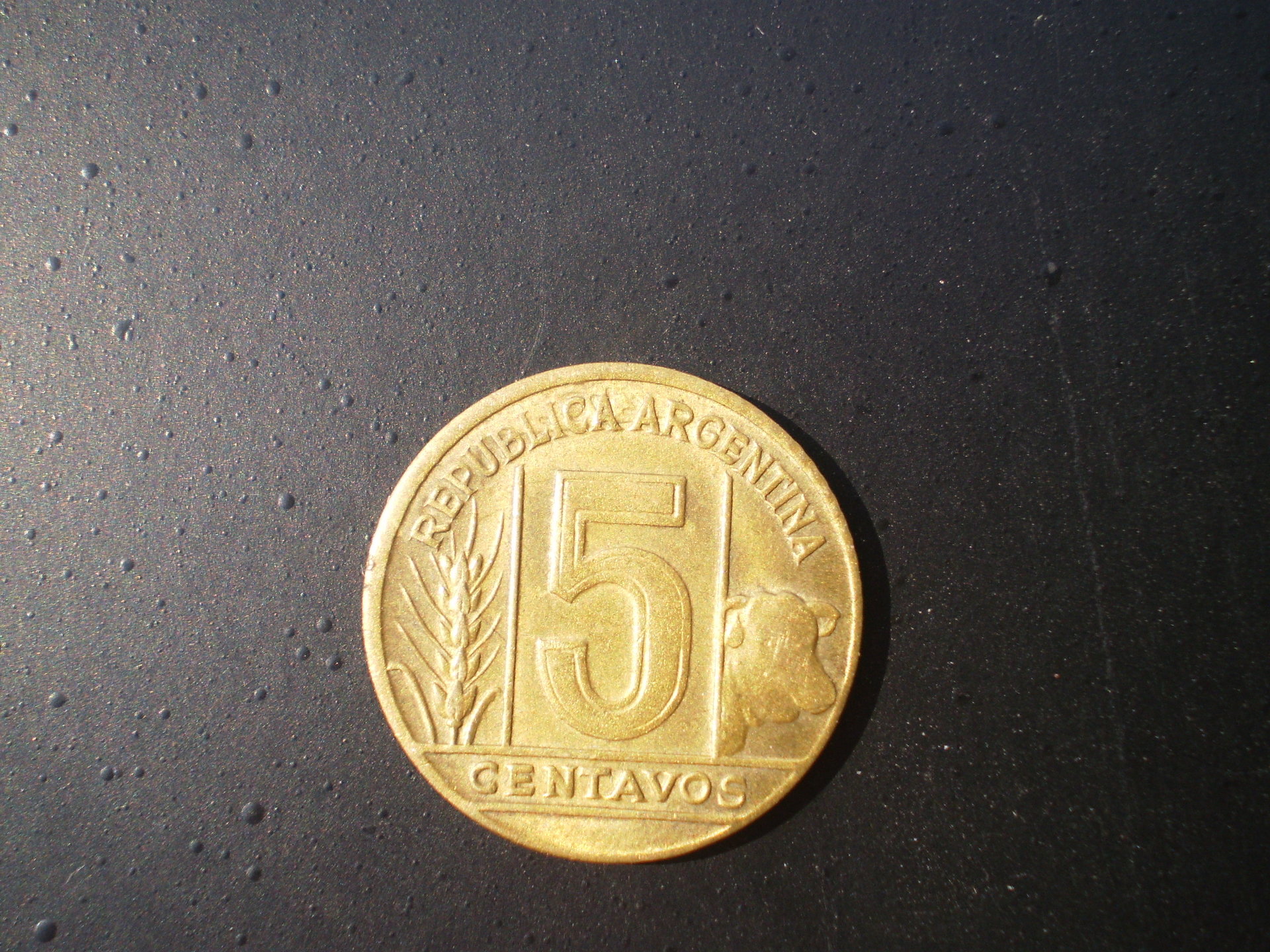 PB110006.JPG