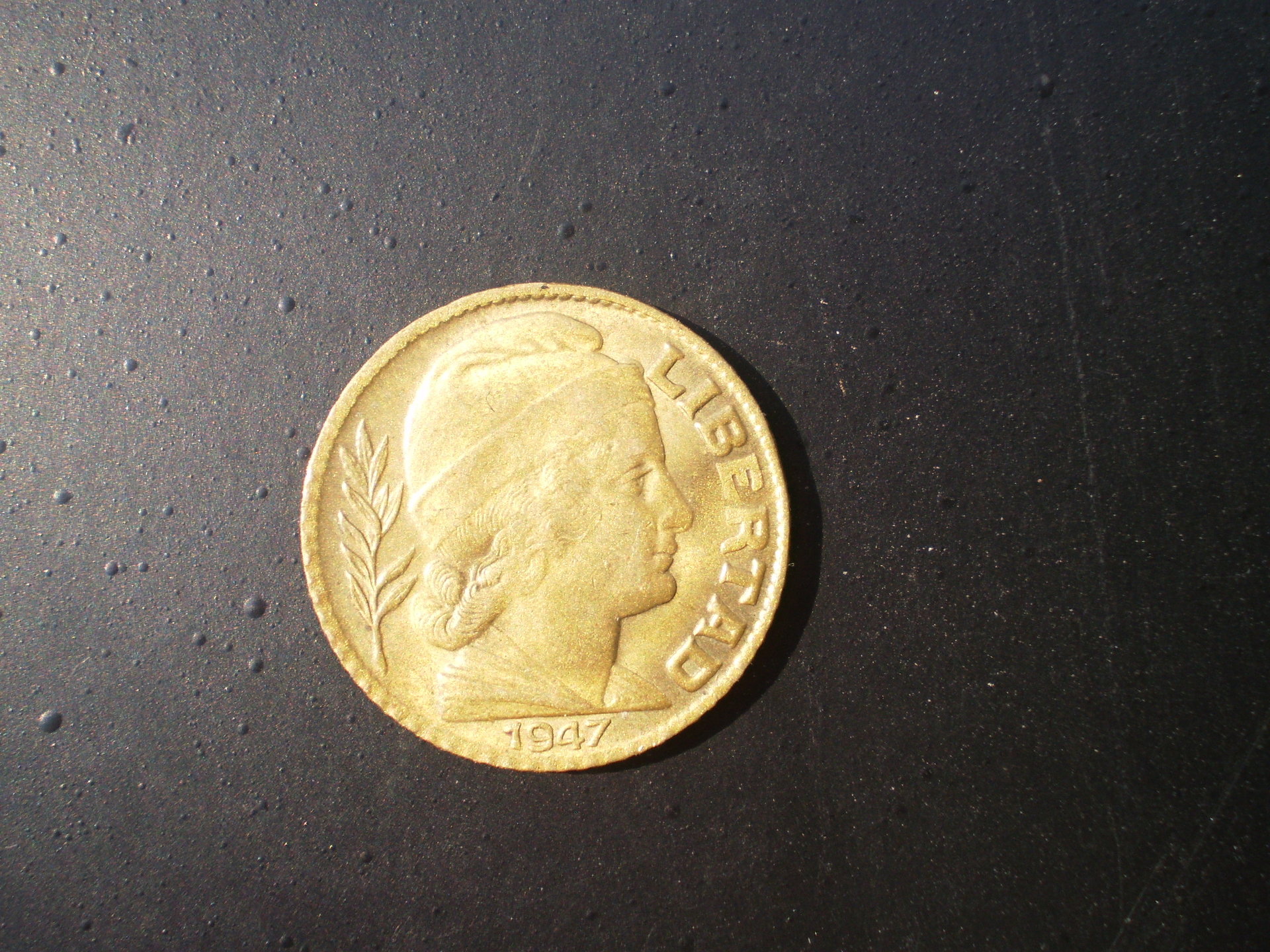 PB110007.JPG