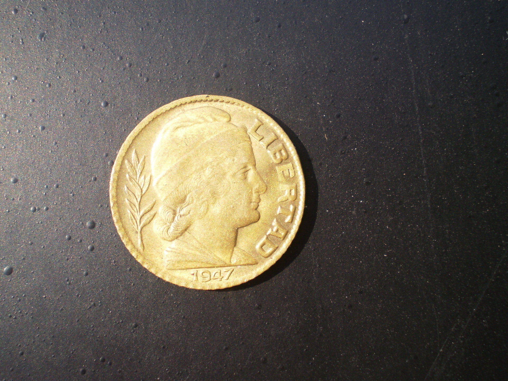PB110008.JPG