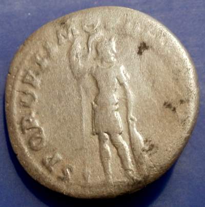 PB260007.JPG