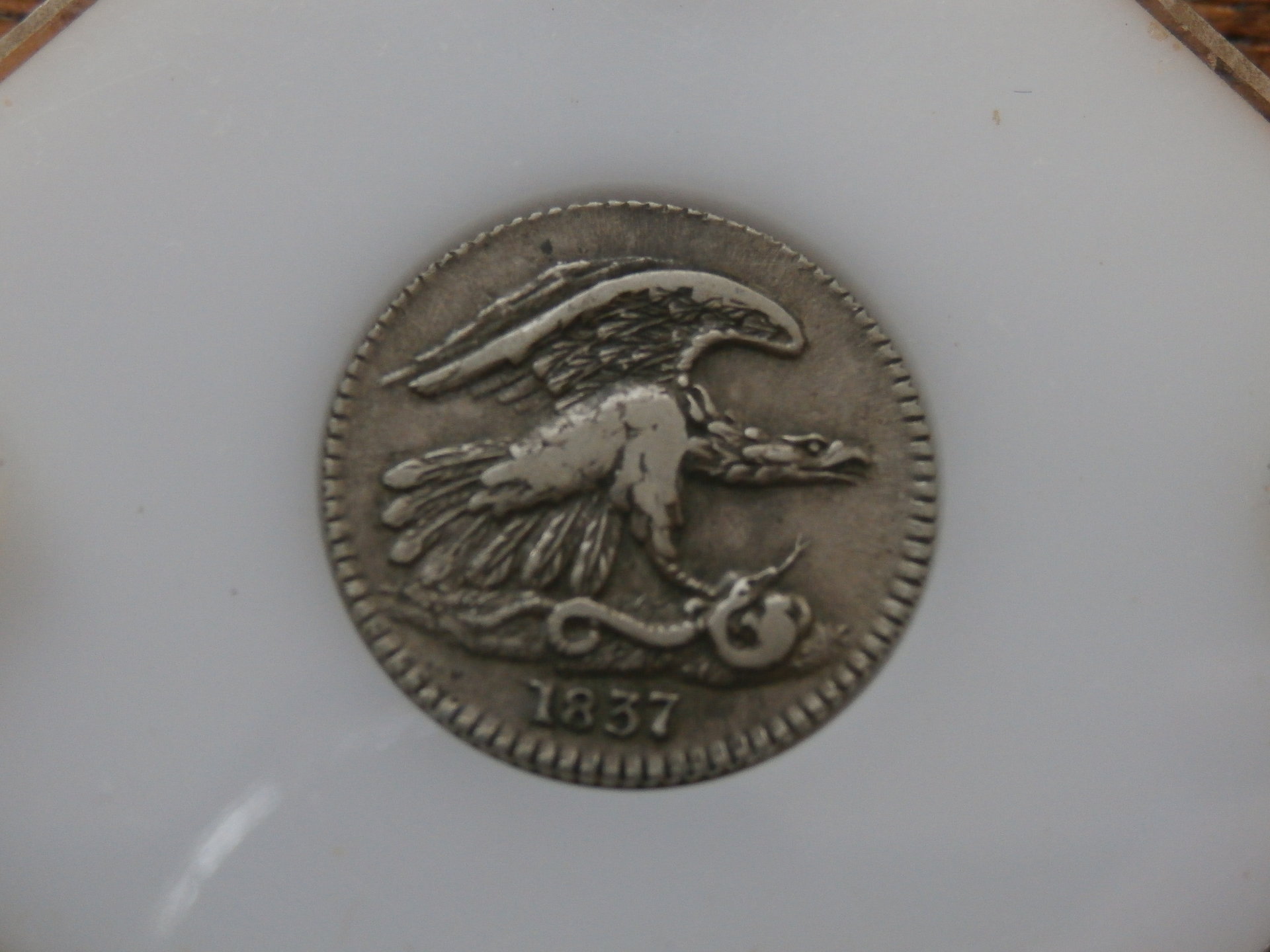 PB291019.JPG