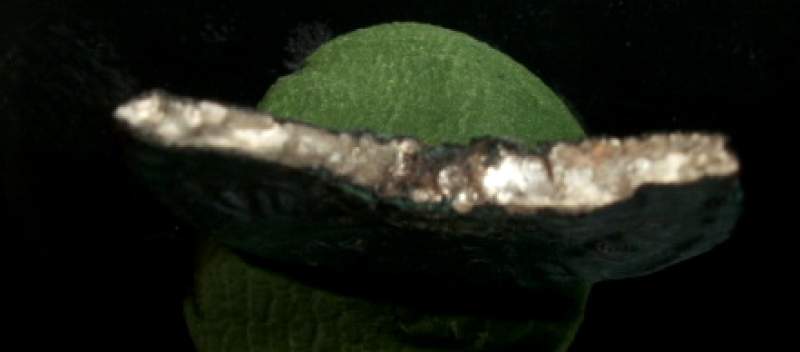 PC040003a.JPG