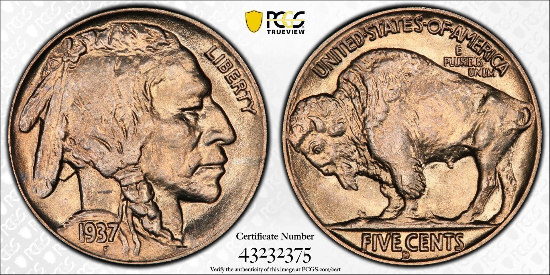 PCGS 1937-D.JPG