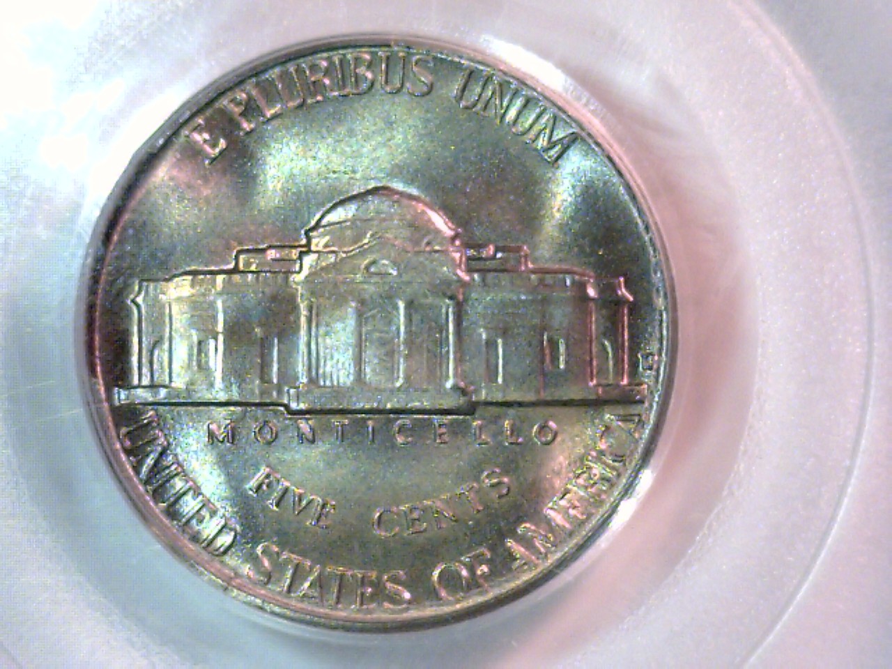 PCGS 50d rev.jpg