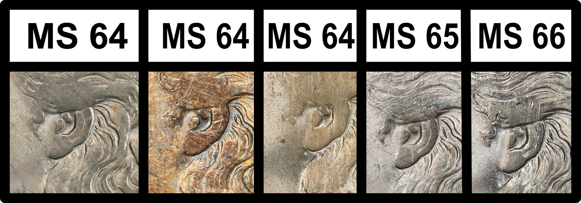 PCGS Comparison.jpg
