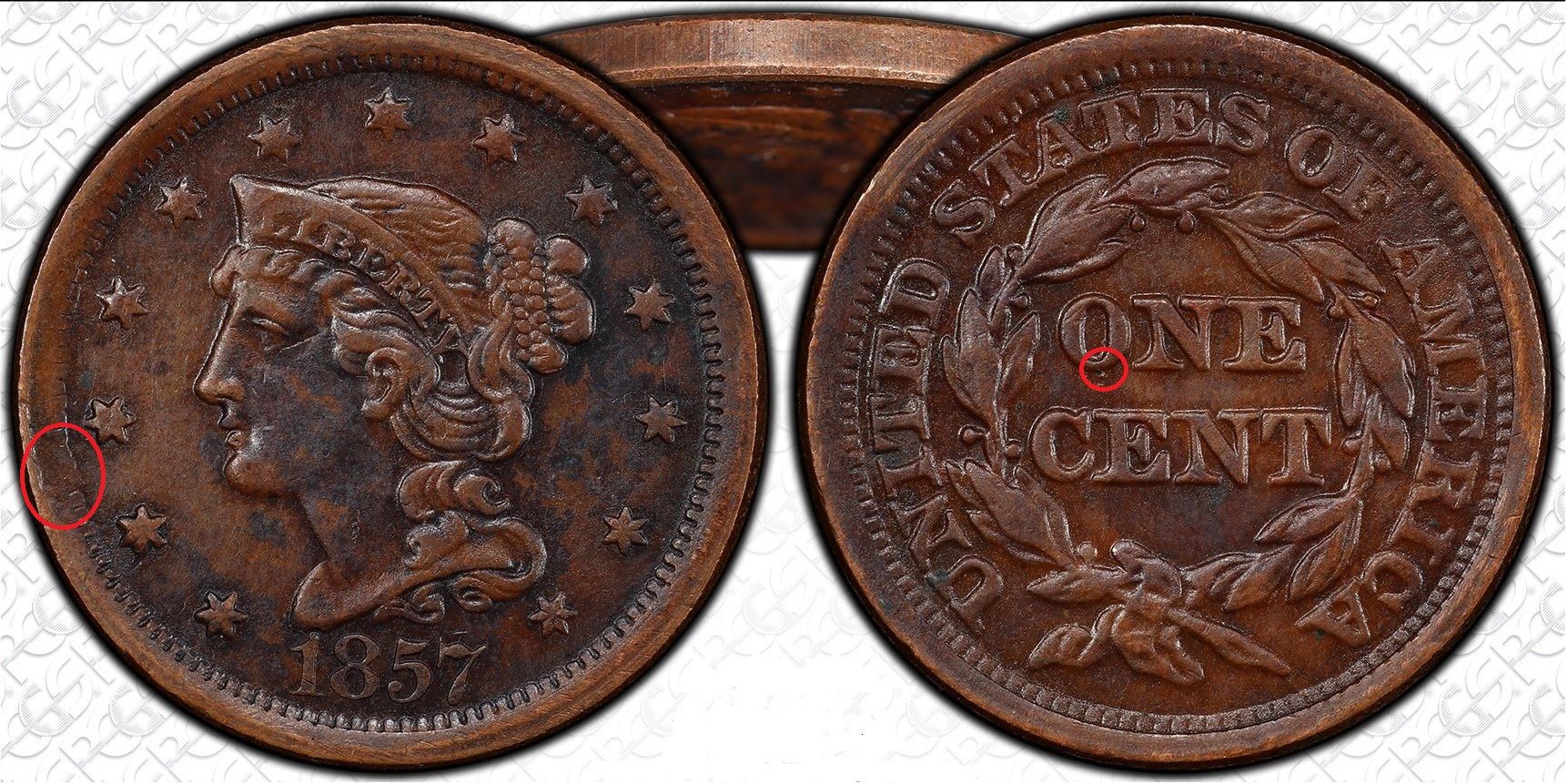 pcgs-family.jpg