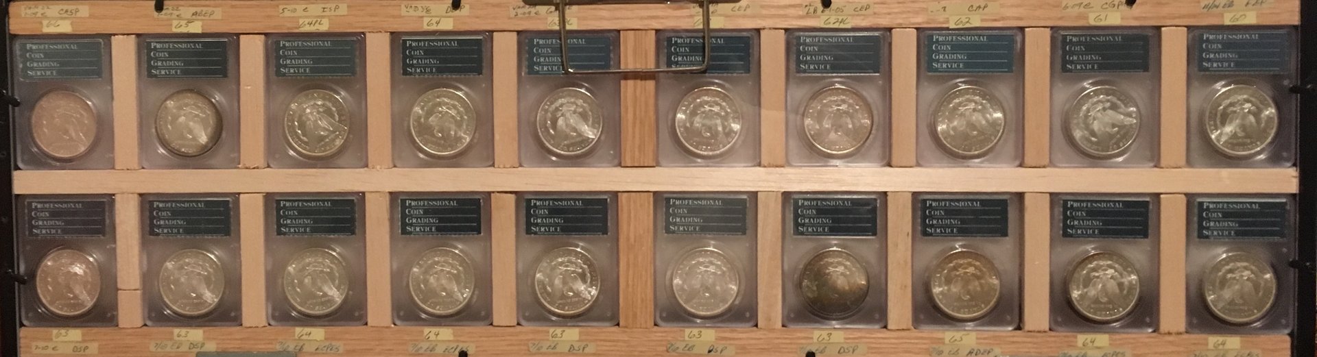 PCGS Rattler 1881S Grading set rev cropped.JPG