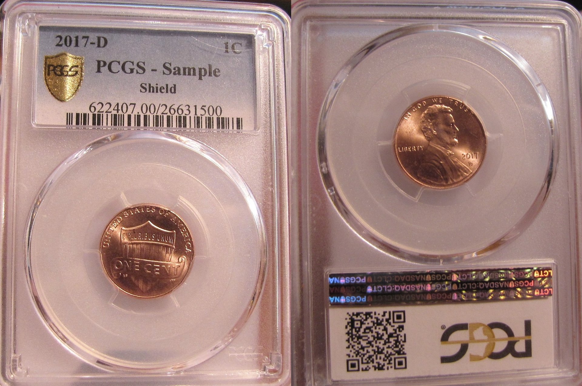 PCGS Sample b-horz.jpg