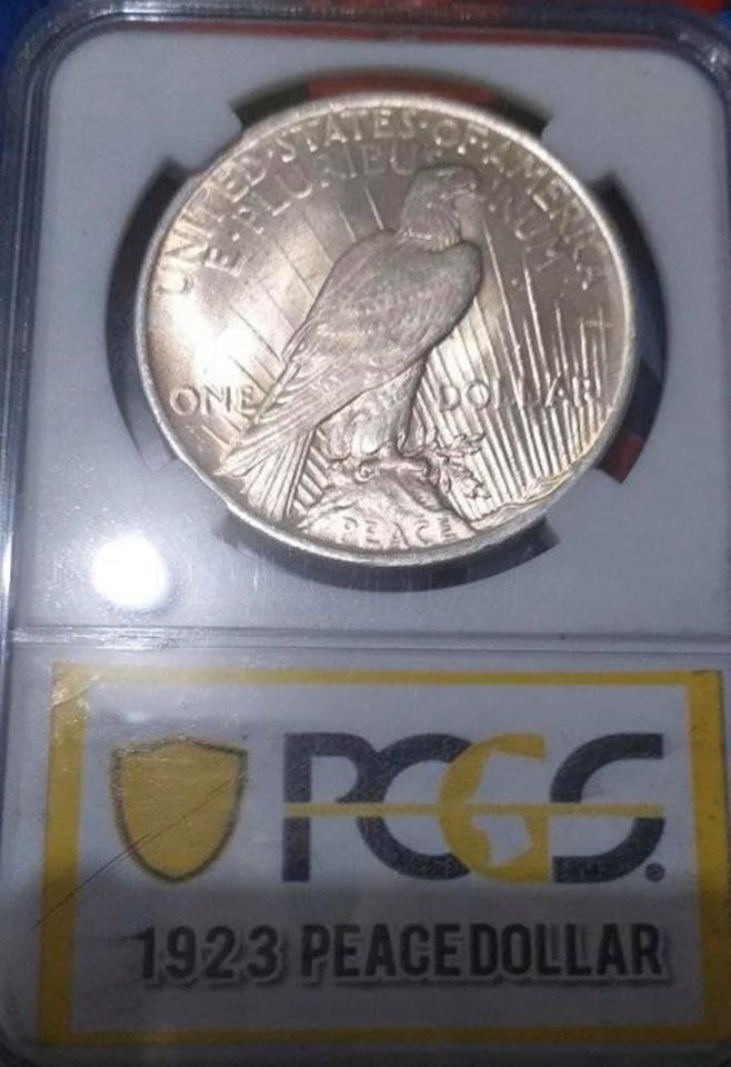 pcgs sh-r.jpg