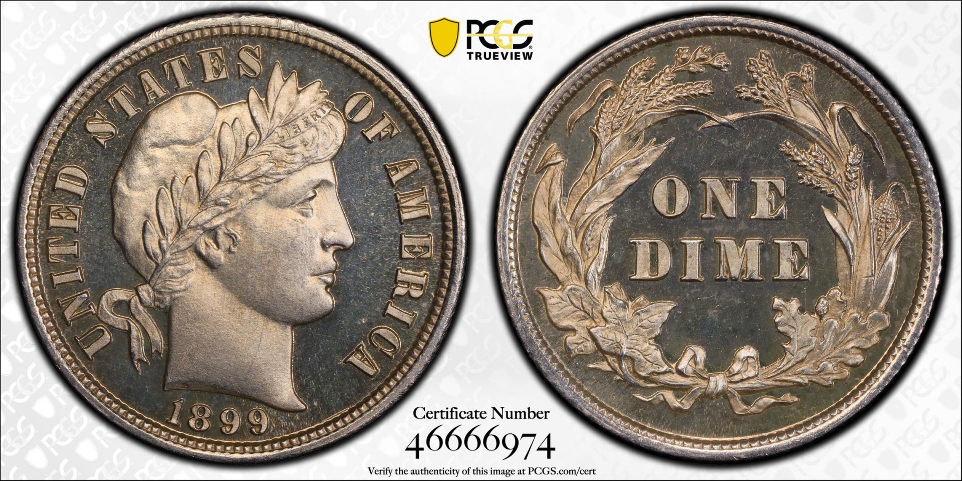 PCGS TrueView Image.jpg