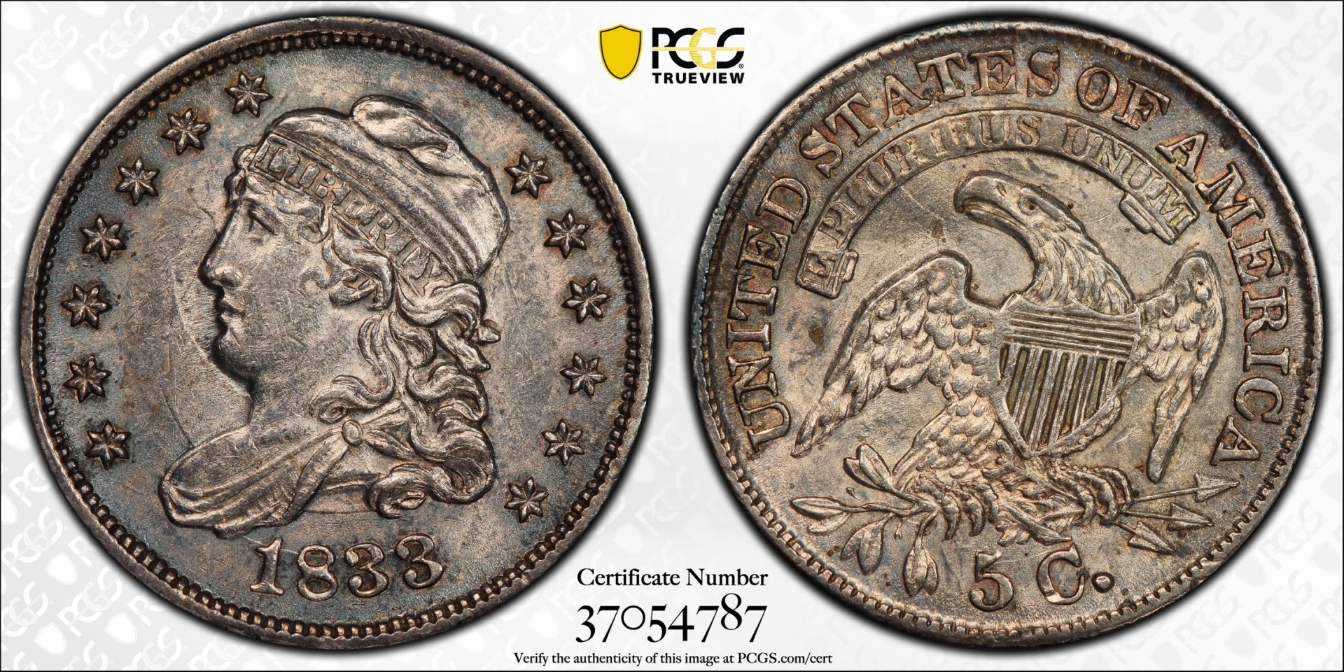 PCGS TrueView.jpg