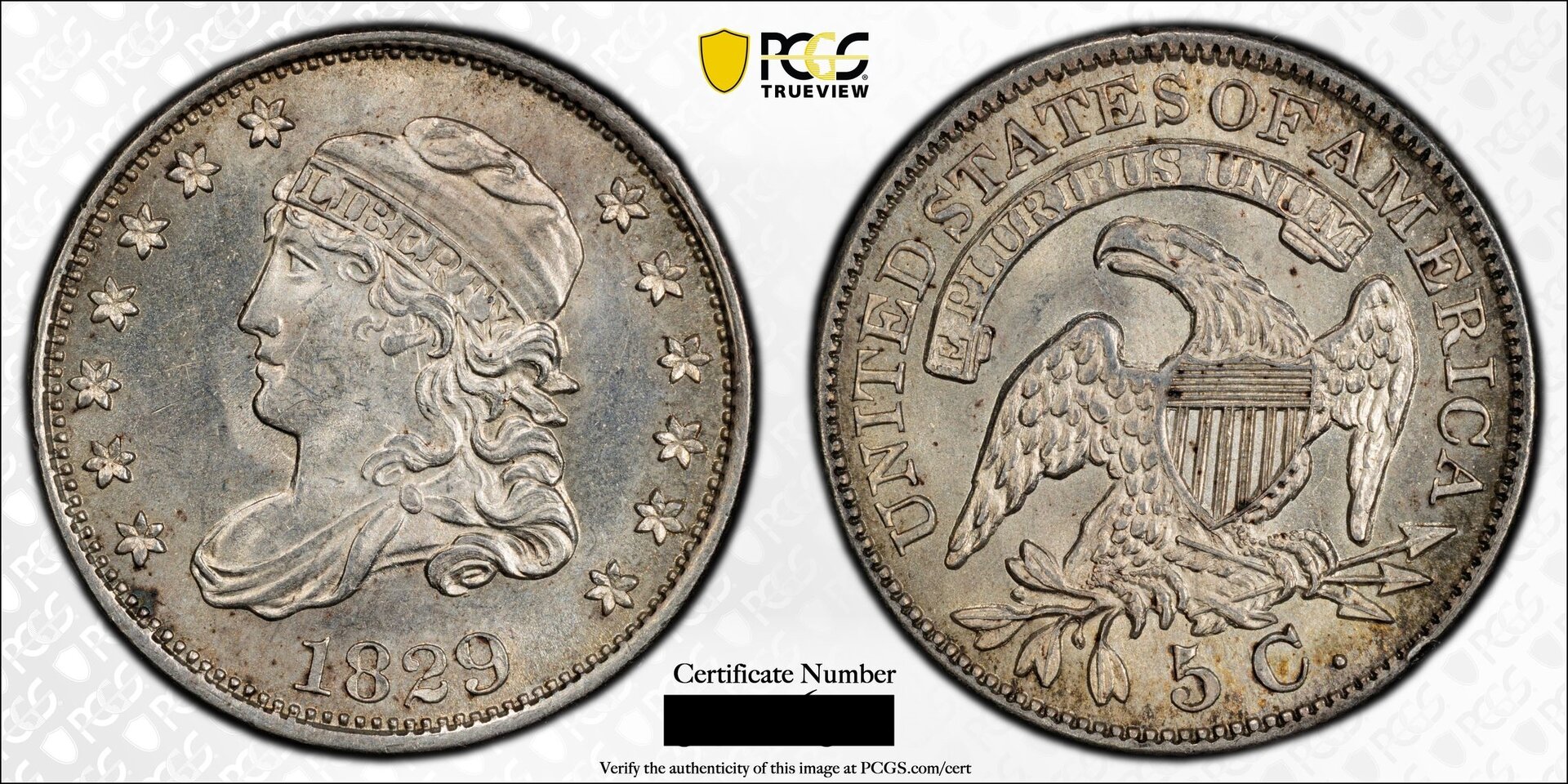 PCGS TrueView-Temp.jpg