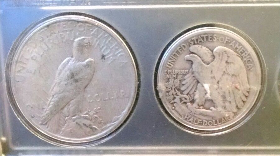Peace Rear.jpg