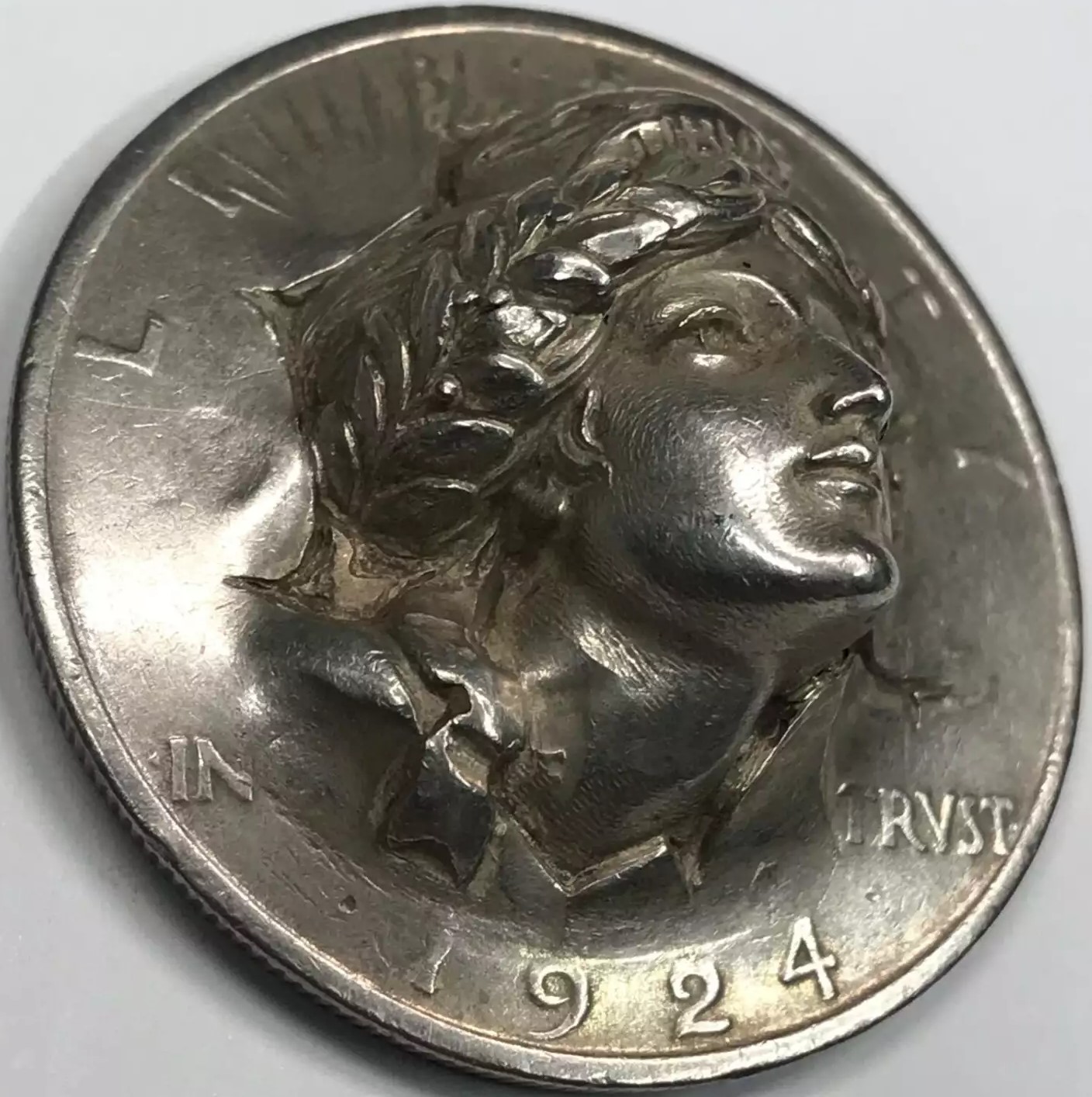 peace-repouse-dollar-large oblique obv.jpeg