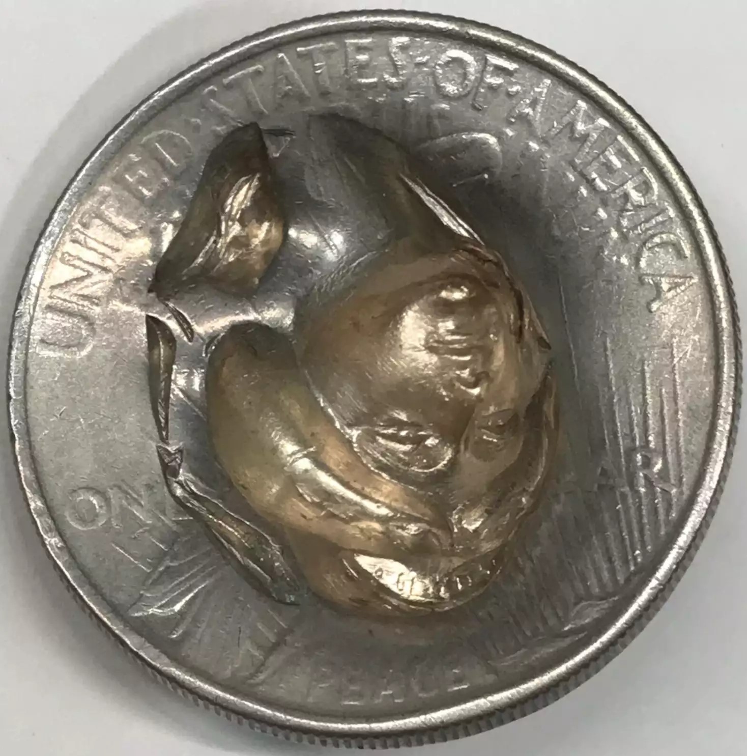 peace-repouse-dollar-large rev.jpeg