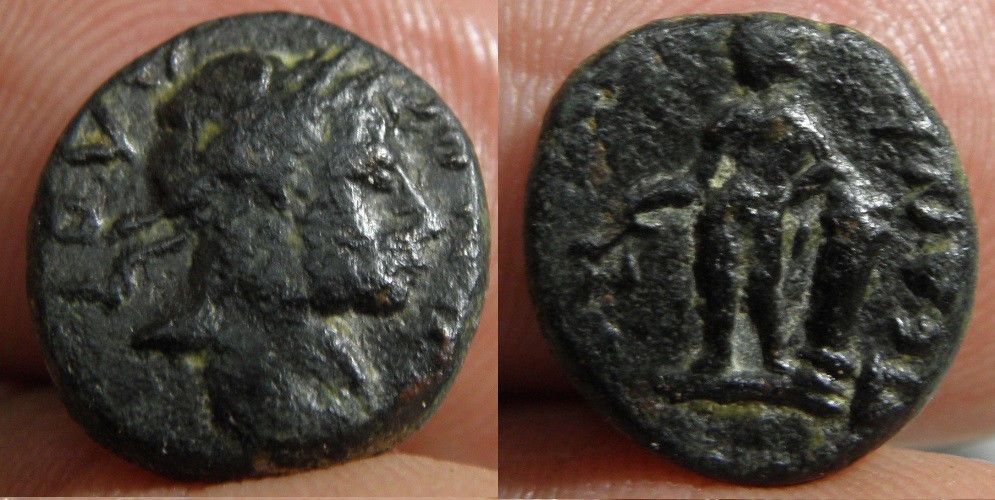 PednelissusHadrian.jpg