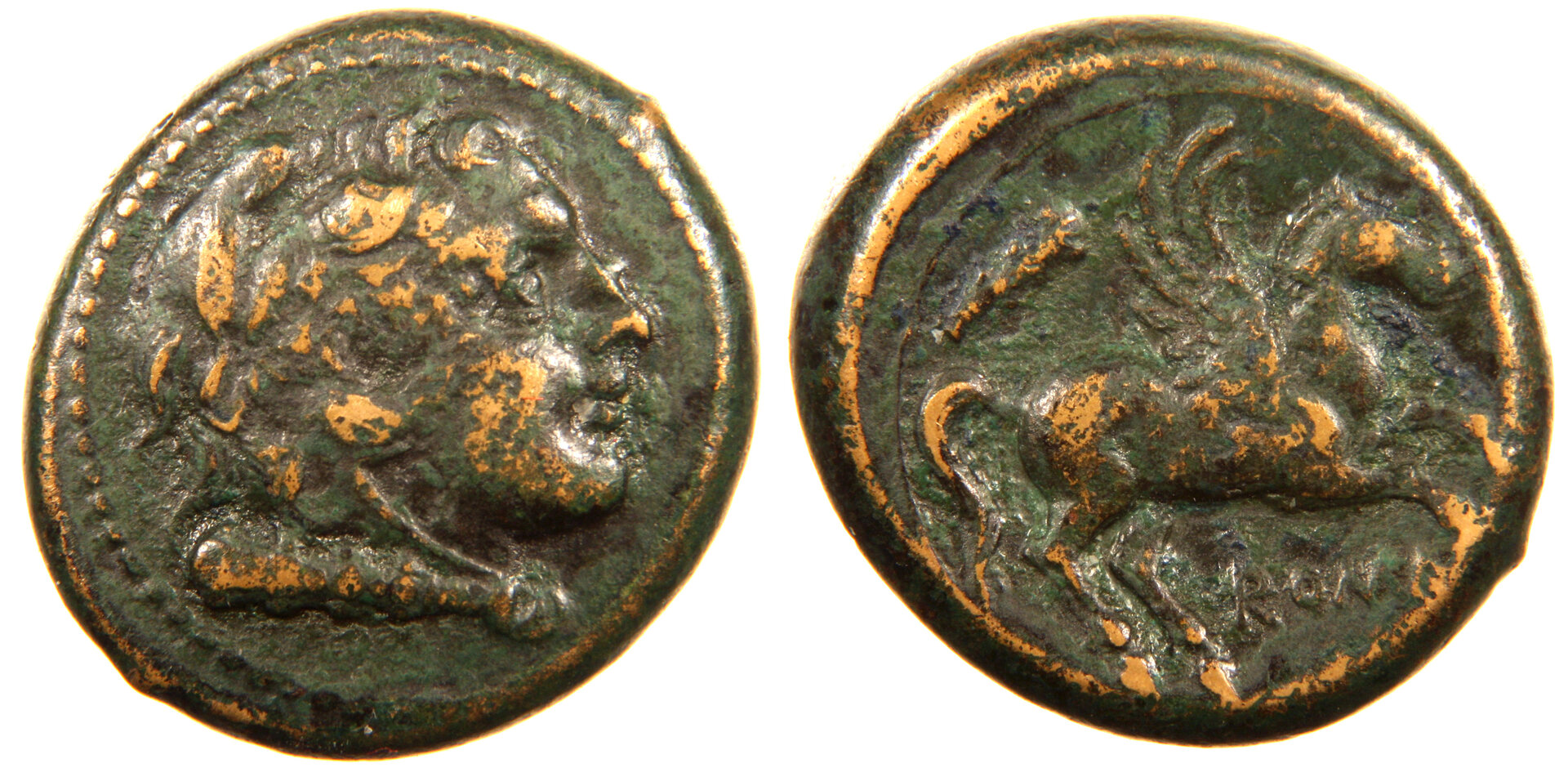 PegasusLitraCombined.jpg