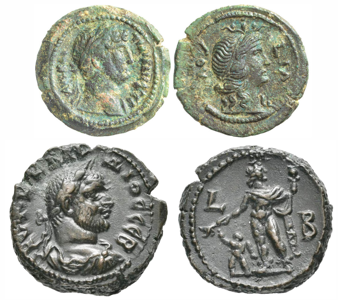 pelusium2.jpg