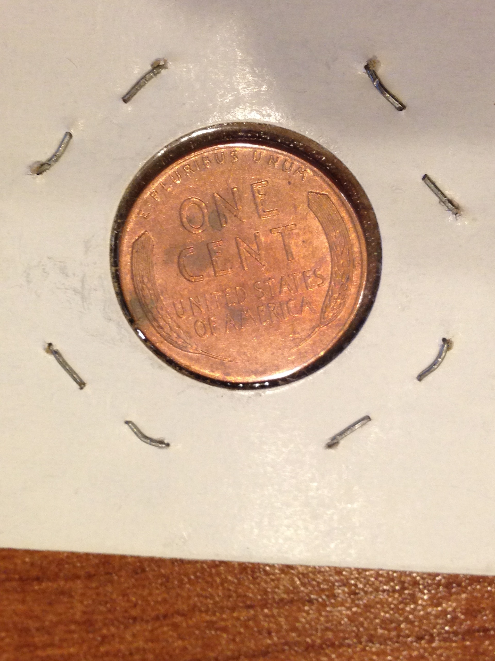 PENNY 2 BACK.jpeg.JPG