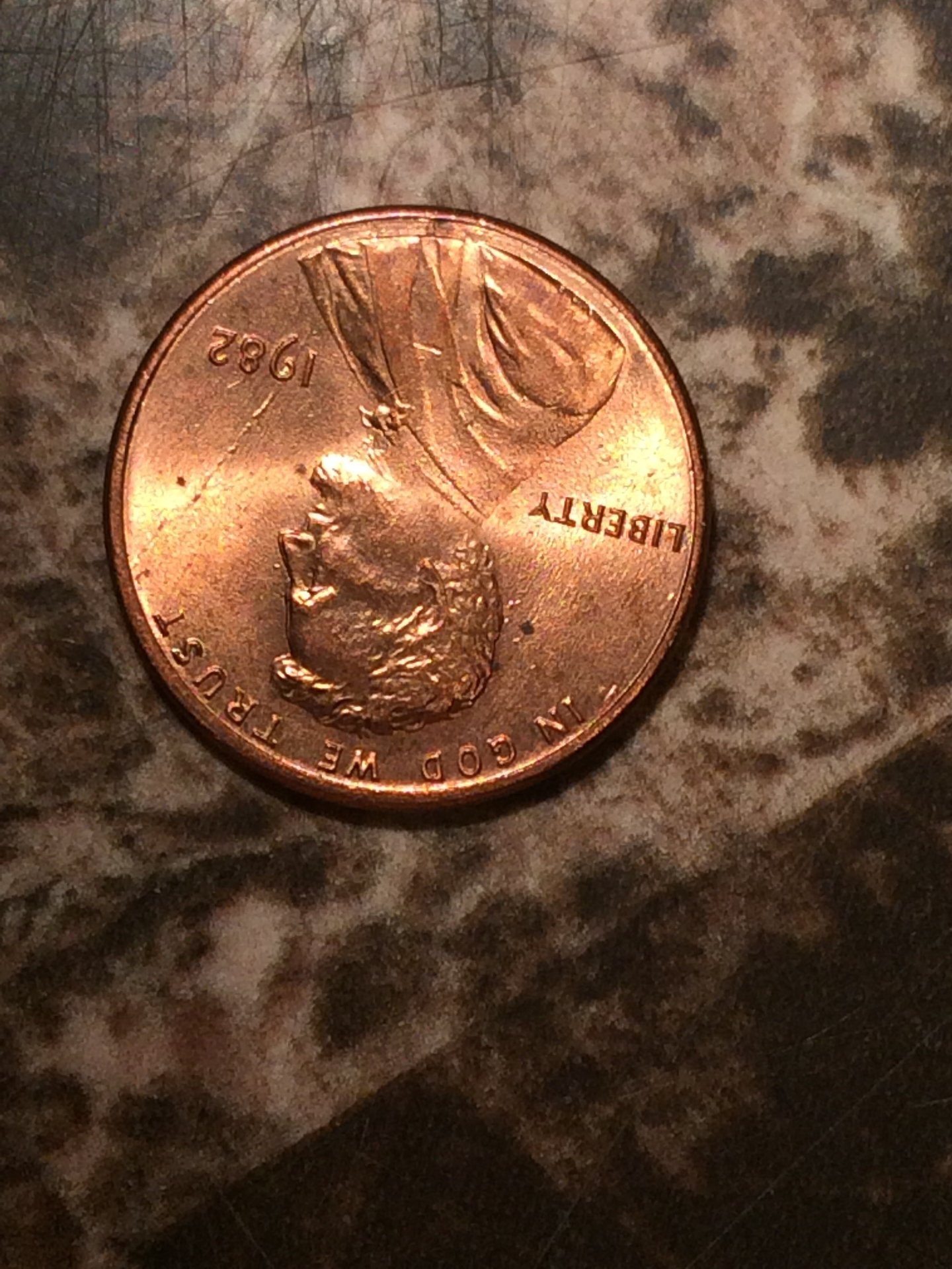 Penny 2.jpg