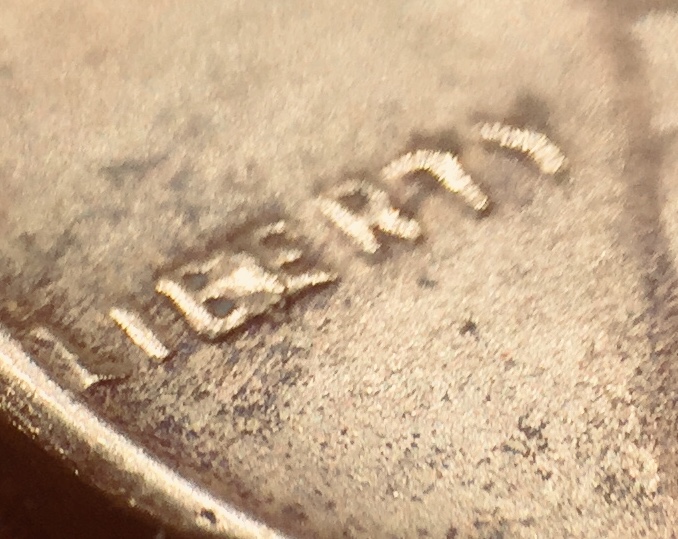 Penny 3.jpeg