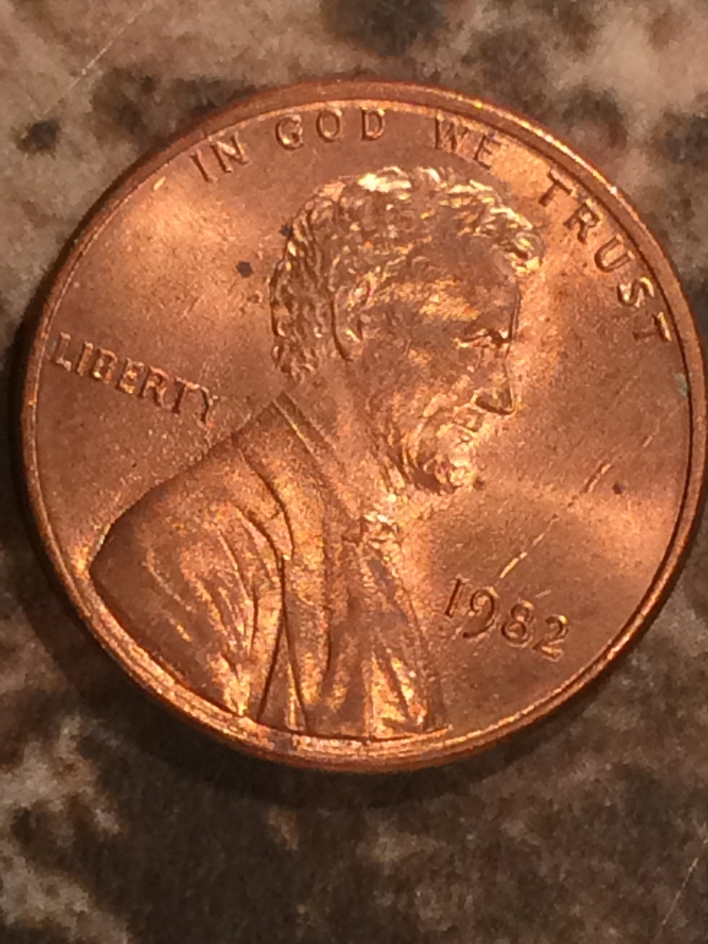Penny 3.jpg