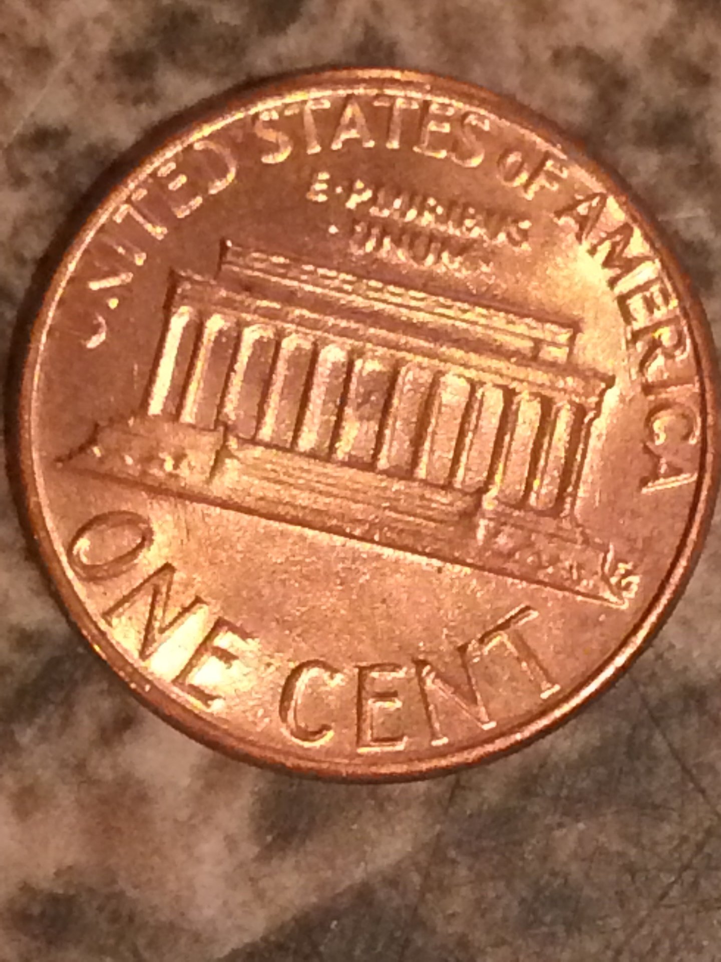 Penny 4.jpg