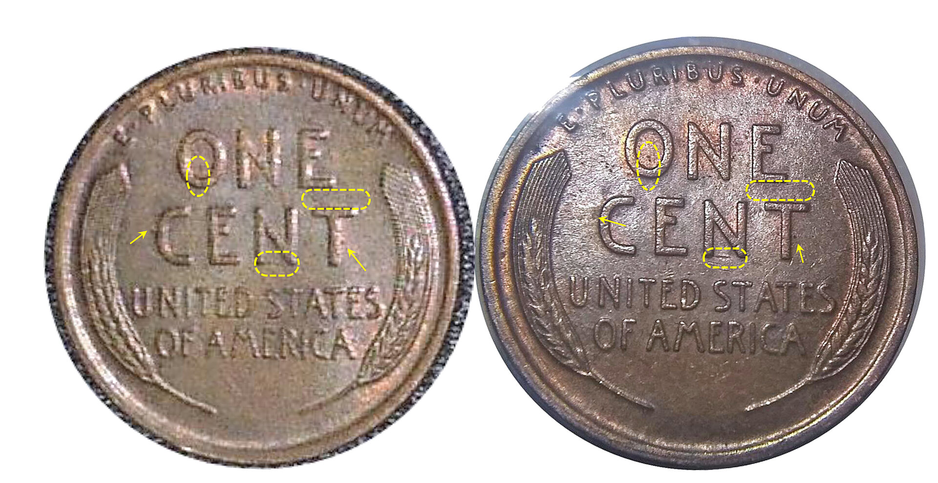 Penny Comparison.jpg