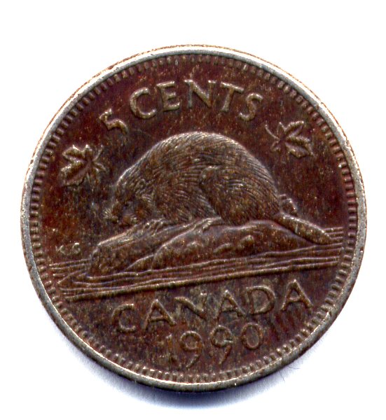 Penny jar486.jpg