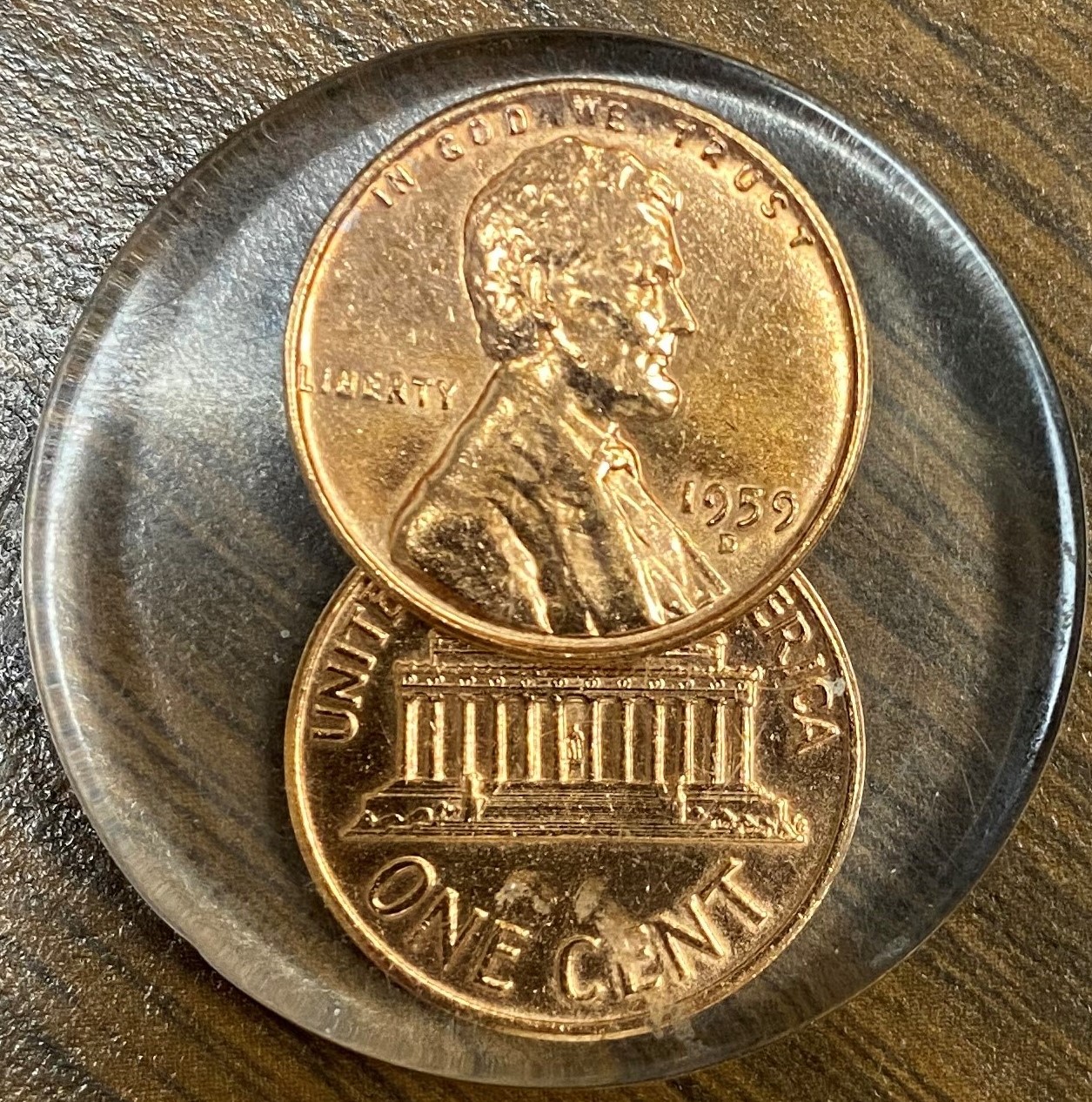 penny.jpg