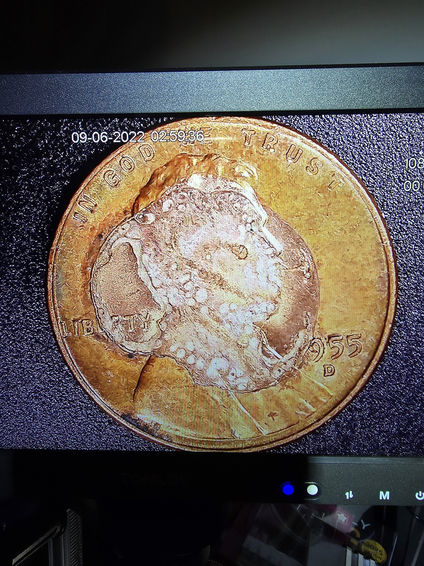 penny.jpg