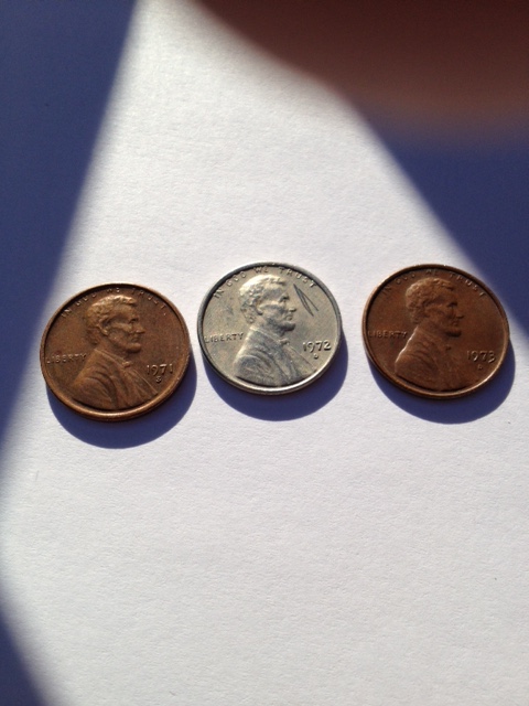 Penny.JPG