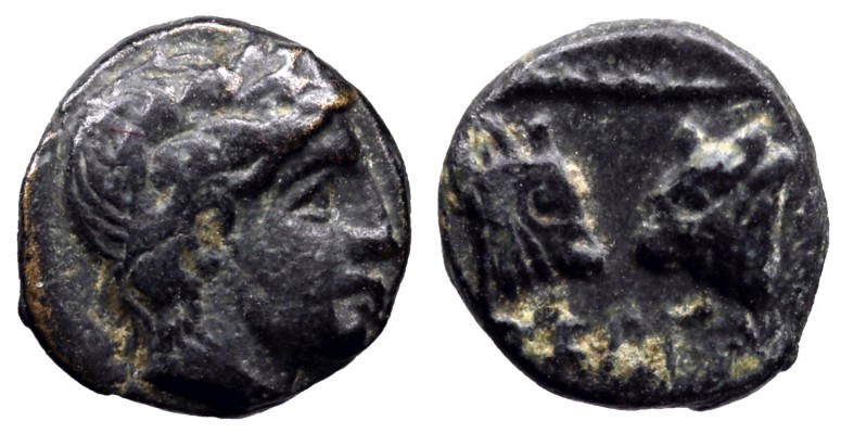 Pergamon 8mm.jpg