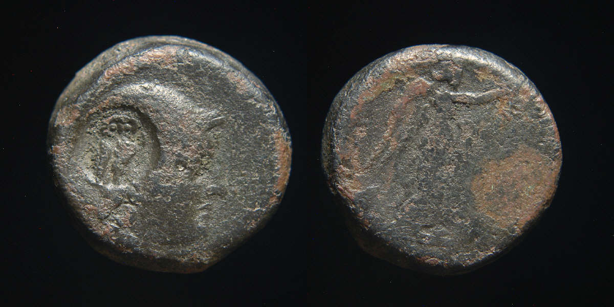Pergamon owl.JPG